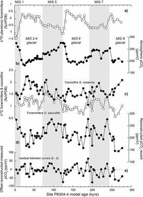 Enhancing Our Palaeoceanographic Toolbox Using Paired Foraminiferal and Coccolith Calcite Measurements From Pelagic Sequences